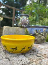 “Pr-order” One Bowl to Rule them All