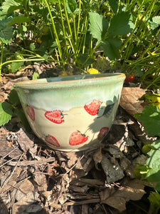 Strawberry Burst Bowl