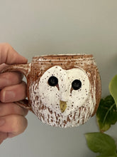 White Barn Owl Espresso