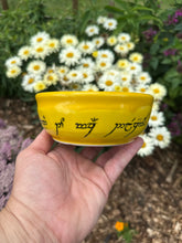 “Pr-order” One Bowl to Rule them All