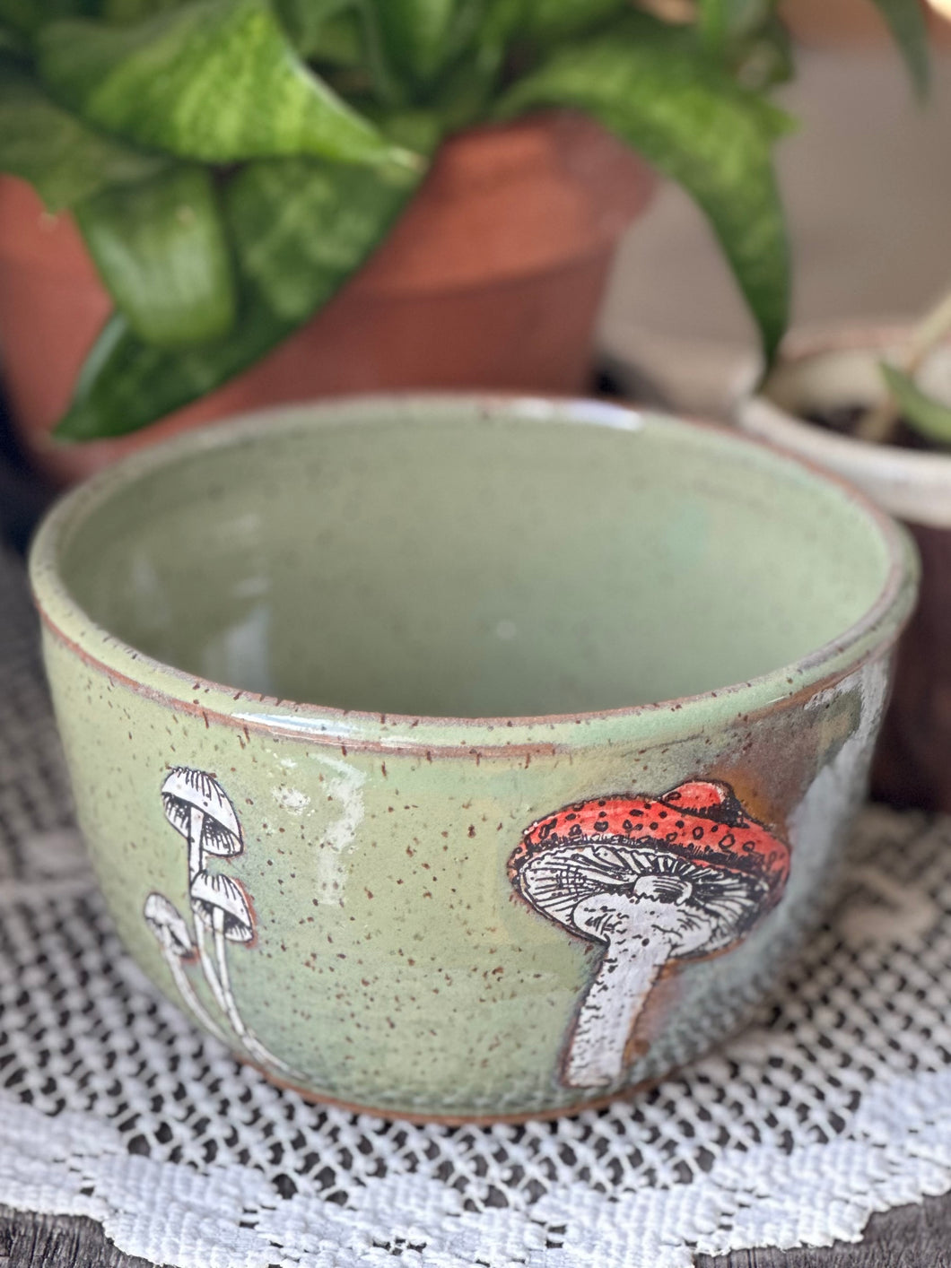 Foraging Mushroom Bowl