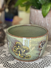 Foraging Mushroom Bowl